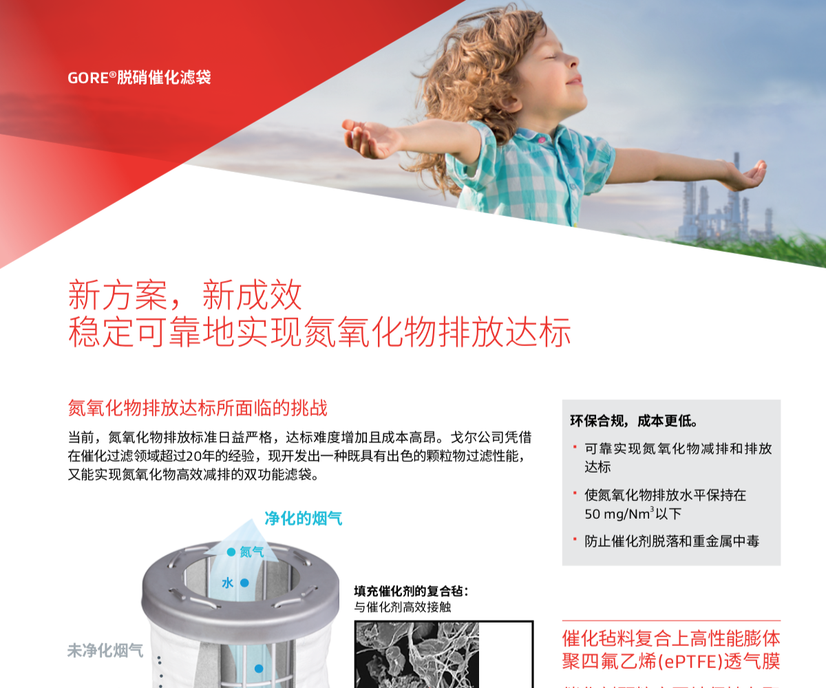 白皮書，穩(wěn)定可靠地實(shí)現(xiàn)氮氧化物排放達(dá)標(biāo)
